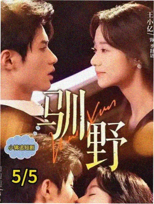 星辰影视最新版本更新古装权谋剧白塔之下